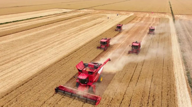 壹定发(中国游)官方网站