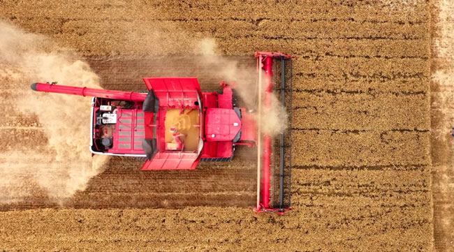 壹定发(中国游)官方网站