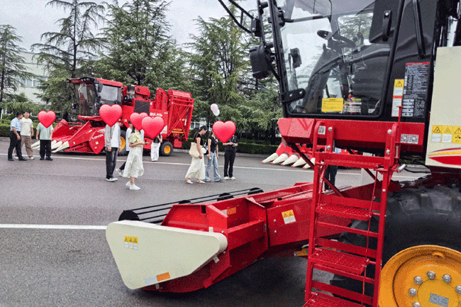 壹定发(中国游)官方网站